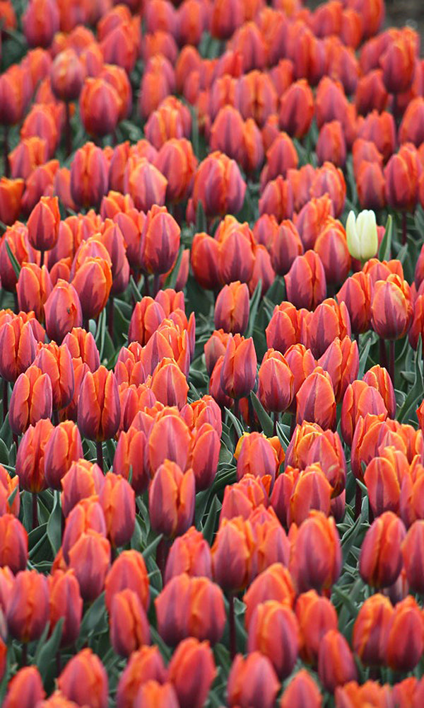 Be Different